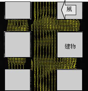 �}�Q�D�����͌^�Ɉ͂܂ꂽ�X�H�̗���A������1/4���������f��