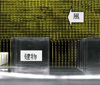 �}�R�D�����͌^�Ɉ͂܂ꂽ�X�H�̉����f�ʁi�X�g���[�g�L���j�I���j����