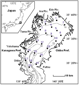 調査地点の地図