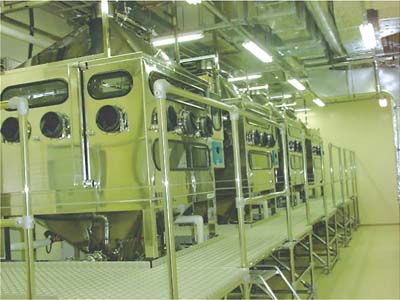 �ʐ^�T�D���I�`�����o�[