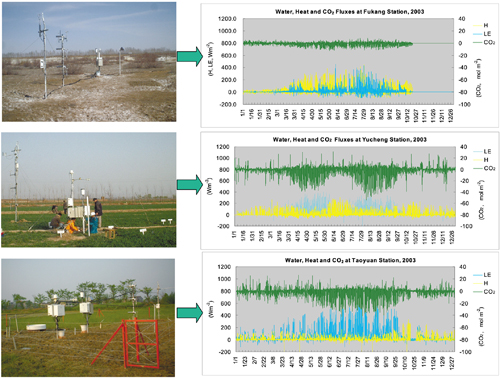 �}�Q�D2003�N�̗l�X�Ȑ��Ԍn�̐����C�iLE�j�C���M�iH�j��CO2�t���b�N�X�̋G�ߕω��i30�����ς̊ϑ��f�[�^�j
