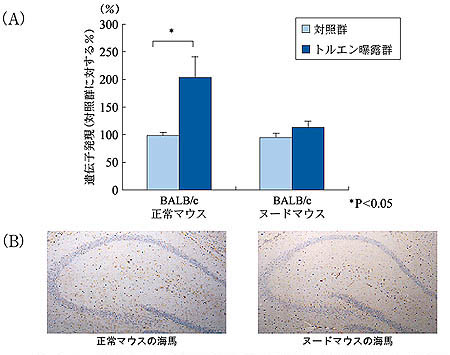 �}�@�g���G�����I�����}�E�X�̊C�n�ɂ������`�q�����iA�j�ƖƉu���F���iB�j�ł̔�r