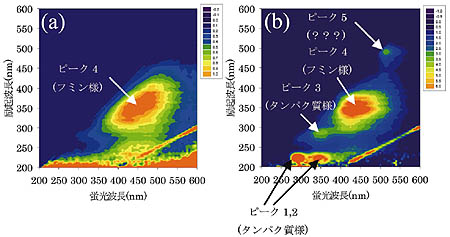 �}�P�@EEMs �@�ɂ���ĕ`����铙�����}�@(a)�����Y�ΐ��C(b)����������