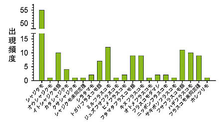 �}�Q 2004�`2005�N�̎Ԏ��������ŏo��������ƕp�x�i����n�_�̉��א��j