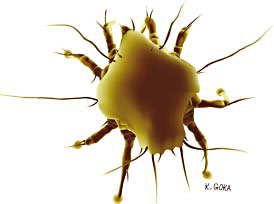 �}�R�@�O���Y�N���K�^���V�Ɋ񐶂���_�j�E�N���K�^�i�J�Z�̊g��}