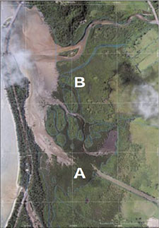 �}�P�@�A���p�����n�̍q��ʐ^