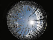 �}�S�@���G���}�q���M�ѓ��̑S�V��ʐ^�i�䕗��Q����j