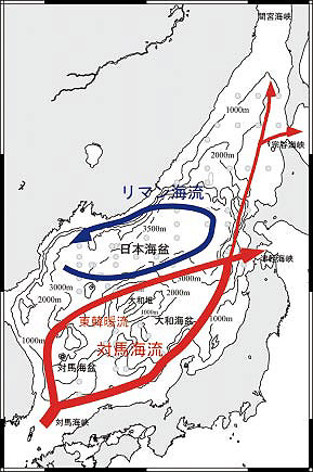 �}�Q�@���{�C�̕\�w�C��