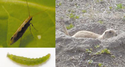 �ʐ^�Q�@�R�i�K�̐����i����j�C�c���i�����j�ƃv���[���[�h�b�O�i�E�j