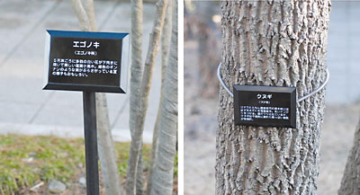 �ʐ^�P�@�؂ɂ������D�@���؂̑����ɉ����ă|�[���Ɏ�������i���j�X�v�����O�ŕt�����肵�܂����B��