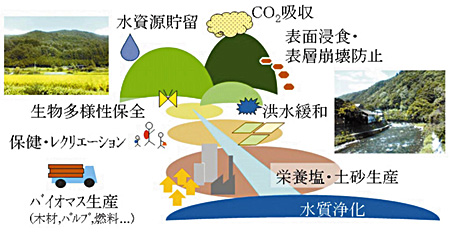 自然共生という思想 （2008年度 27巻2号）｜国環研ニュース 27巻｜国立 ...