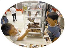 ����19�N�́u�Ă̑���J�v�̗l�q�y�N���K�^���V�̓W���z