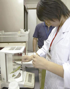 �d���ς�������Ȃ�