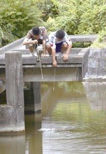 ���ʉ����\cm�̐[���̐��������r���ɍ̎悷��