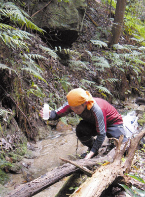 ��������ł̌k�����̎�̗l�q