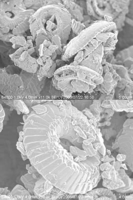 �}�P�@�����̊R���玝���A�����`���[�N�̑����^�d�q��������