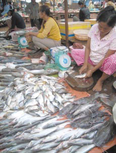 �s��̋������