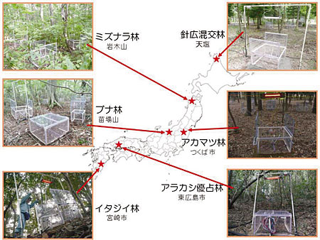 �}�T�@�y��ċz�̉��g����������T�C�g�̕��z