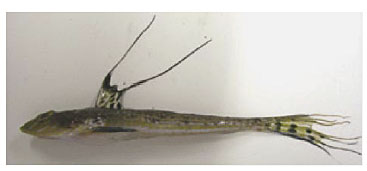 �}�Q�@�n�^�^�e�k����