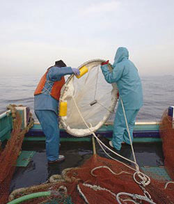 �v�����N�g���l�b�g�𓊓��B