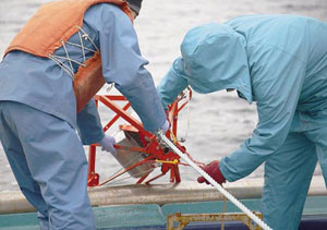 �̓D���i�B