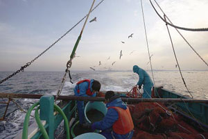 �̓D��C⿂ɂ�����B