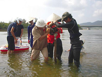 �ʐ^�Q�@�C�F�@��