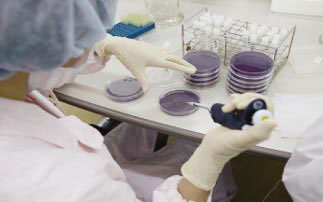 ���ʂȊ��V�|�n�Ɋ�߉t��T�d�ɓH�����Ă��܂��B�ْ�����u�Ԃł��B