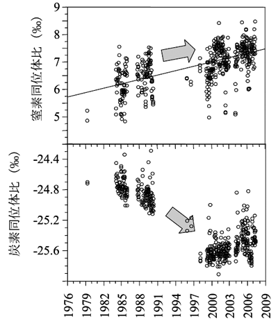 �}�Q�@�����Y�ΐS�̒�D�̕\�w�O�`�Qcm�̒��f���ʑ̔�ƒY�f���ʑ̔�̉ߋ�30�N�Ԃ̗��j�I�ϑJ�@�@���f���ʑ̔��30�N�Ԃ�1.5����x�㏸���C�Y�f���ʑ̔��0.8����x�ቺ���܂����B