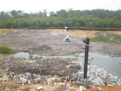 �ʐ^�T�@�n�\�ʃK�X�t���b�N�X�̑��蕗�i�i��O�̍������̓K�X������ˁj