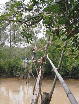 ���炮��h����{����n���đΊ݂ցi��������l���j