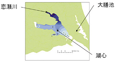 �}�P�@�J�u�g�~�W���R�iDaphnia galeata�j�̍̏W�n�_�@��錧�����Y�i���Y�j�̌ΐS����ї�����͌��i���l����j�B�Z���́C�\�w����pH���������Ƃ������B