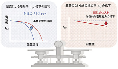 �}�S�@�ϐ���`�q�̃x�l�t�B�b�g�ƃR�X�g��\���͎��}�@���w�����̖\�I�Z�x�̑����ɔ����āC�����̓K���x�i�̌Q�̐��ݓI�ȑ��B���j��2���֐��I�Ɍ�������i���}�j�B�ϐ��̍����W�c�́C�K���x�̌����������Ȃ��C�����Ȑ����E���Ɉړ�����B�\�I�����������ł́C�ϐ��̍����W�c�قǓK���x���Ⴍ�Ȃ�X��������C�ϐ��ɃR�X�g�����邱�Ƃ������i�E�}�j�B