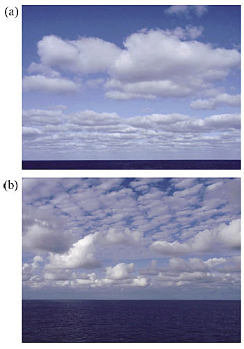 �ʐ^�R�@�������m�Ō���ꂽ���R�ƕ��ԉ_�Q�@a�F�k��30�x�i�����D�u�݂炢�v�ɂĎB�e�j�Cb�F���20�x�i�ݕ��D�u�g�����X�t���[�`���[�T(��)�v�ɂĎB�e�j(��)�g���t�W�C�^������Зl�C�������D��������Зl�̂����ӂɂ��C����ݕ��D�ɂĊϑ����s���Ă��܂��B