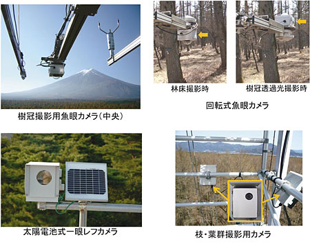 �}�Q�@��_�B�e�J�����̗�