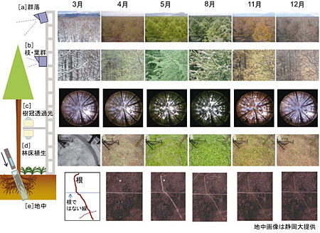 �}�R�@�x�m�k�[�t���b�N�X�ώ@�T�C�g�ɂ������_�J�����̓W�J�̗l�q