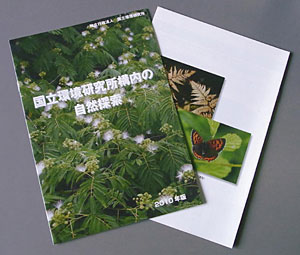 �Ă̑���J�Ɍ����Đ��삵�����R�T���p���t���b�g