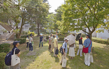 �܂��͒���ɏo�Ė؂����グ��