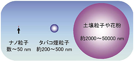 �}�P�@�i�m���q�̑傫���i�C���[�W�j�B�Pnm�i�i�m���[�g���j�͐番�̂P��m�i�}�C�N�����[�g���j�B�P��m�͐番�̂Pmm�i�~�����[�g���j�B