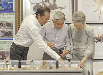 �܉ӎ�Ȍ������ɂ��A���̕W�{��p���������̗l�q