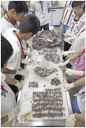 �ʐ^�Q�@��g���Ŋl�ꂽ����ނ̖��O�i�햼�j���A���̑̌`��F�E�͗l�A����h���i�����傤�j�̐��A�z�Ղ��b�Ȃǂ̓������ώ@���A�����}�ӂƏƍ����Ȃ���A���ׂ�B