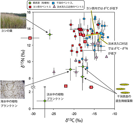 �}�R�@�c����͌������ō̎悳�ꂽ�x���g�X�̃�13C�E��15N�}�b�v�@�@�ΕH�`�͉a�����A���̃V���{���̓x���g�X��������B�l�p�A���݂�F�O�p�A�Ԏl�p�͂��ꂼ��x���g�X�̍̎�n�_�������B�P�F�t�g�w�i�^���A�Q�F�L�k�J�c�M�n�}�V�C�m�~�K�C�A�R�F���r�A�J�x���P�C�K�j�A�S�F�N���C���J���U���V���E�K�C�B�o�[�͕W���΍��B�T���v�������Q�ȉ��̂��̂Ɋւ��Ă̓G���[�o�[�������Ă��Ȃ��B