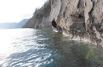 �ʐ^�P�@�T�^�I�ȌΊݕ�