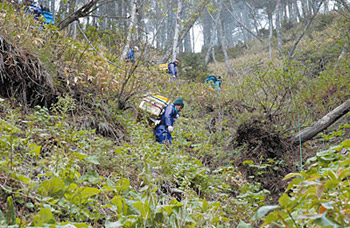 �ʐ^�Q�@�����@�ނ̉^��