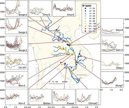 �}�Q�@H. siamensis�̎��Β�88Sr�v���t�@�C���B�����͎��Ίj����̋����imm�j�A�c����88Sr�Z�x�ippm�j�B�w�i�}�ɉ͐쐅��Sr�Z�x���z�������B