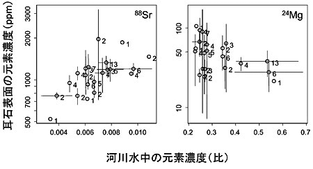 �}�R�@���Ε\�ʂ�88Sr�Z�x�i��j�A�܂�24Mg�Z�x�i���j�ƍ̏W�n�_�̉͐쐅���̂��ꂼ��̔Z�x�i44Ca�Z�x�ɑ΂����j�Ƃ̊֌W�B�͐�i�x���j����ђ����������ƂɃO���[�v�������A���̕��ϒl�A�W���΍��A�T���v�������������B�c���͑ΐ��\���B