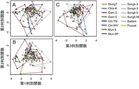 �}�S�@���Ε\�ʂő��肵���S���f�i23Na, 24Mg, 55Mn, 63Cu,66Zn, 88Sr, 138Ba�j�ɂ��̏W�n�_�̔��ʊ֐����́B�iA�j��1vs��2���ʊ֐��A�iB�j��1vs��3���ʊ֐��A�iC�j��3vs��2���ʊ֐��B