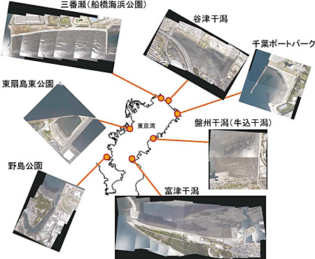 �}�Q�@�����n�_�ɑI�肵���V�J���̐�C��