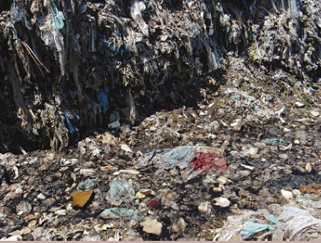 �ʐ^1�@���W�r�㍑�̖���������