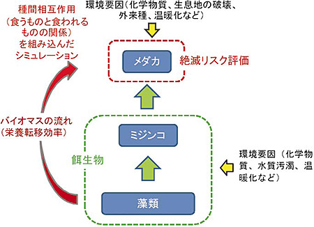 �}�T�@�R�퐶�ԃ��X�N�]�����f���̊T�O�}�@�@�@�@�@�@�H�����̂ƐH������̂̊֌W�ɂ��钼���^�R�h�{�i�K���f���B���w�������I�Ȃǂ̊��v���̉e���͊e�i�K�Ɍʂɍ�p���邪�A��ԑ��ݍ�p����ă{�g���A�b�v�I�ɏ�ʂɔg�y����B�ŏ�ʎ�͉��w�����̒��ڌ��ʂƉa�����̌��R�ɂ��Ԑڌ��ʂ̗����̉e������B���ԃ��X�N�͍ŏ�ʎ�̌̌Q�������Ȃ�����Ń��X�N�ŕ]������B